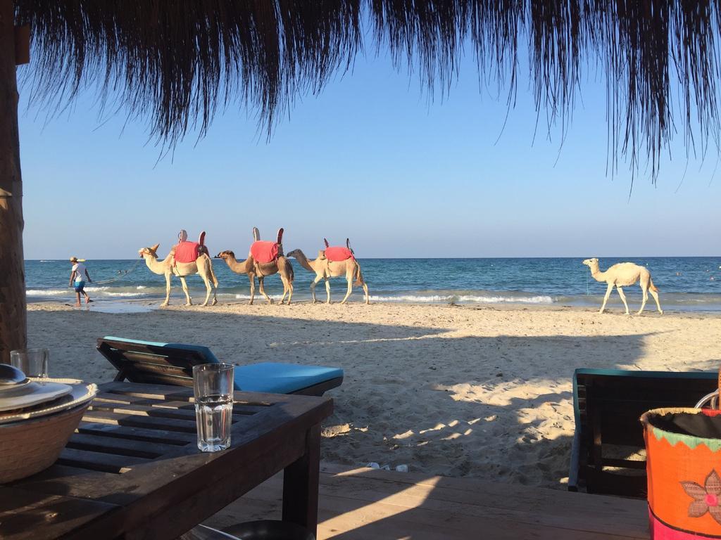 Hotel Djerba Orient Mezraia Esterno foto